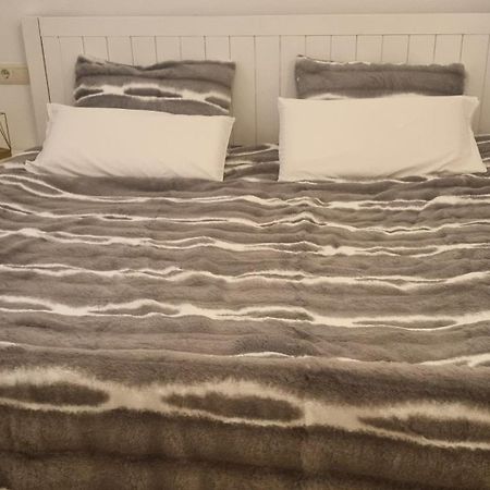 Alicante Apartment מראה חיצוני תמונה